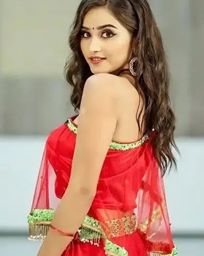 Escort In Nagarjunakonda